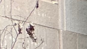 La seguridad en el Metro, una preocupación para los angelinos.