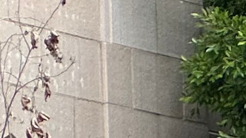 La seguridad en el Metro, una preocupación para los angelinos.