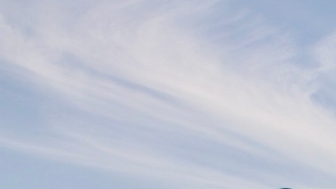 Un productor de los campos nayaritas que ha contribuido al incremento de la produción de tabaco