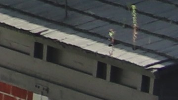 Trabajadores se manifiestan en Hollywood.