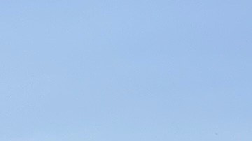 El nuevo Forester 2025 viene en cinco modelos diferentes.