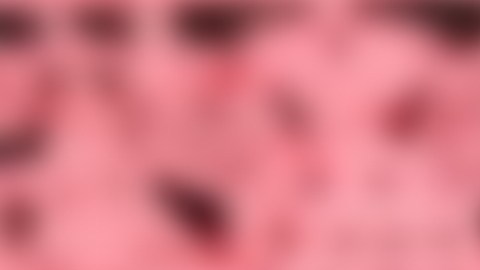 Latinos se preparan para celebrar el Cinco de Mayo en Los Ángeles.