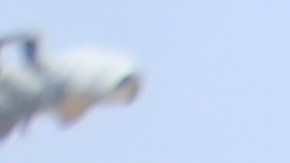 Rosemead High School