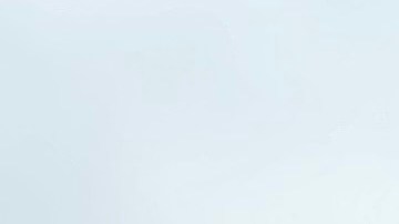 La Ciudad de Los Ángeles quiere desalojar al burro de la Placita Olvera. (Fotos Richard Hernández)