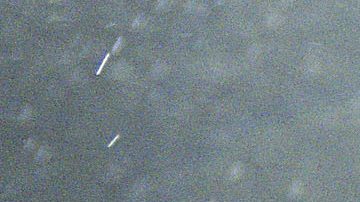 Raúl Jiménez fue uno de los "sacrificados".