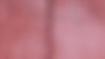 Ciudad de México, 12 de diciembre de 2023. Jordi Cortizo durante el entrenamiento de la Selección Nacional de México previo al partido contra la selección de Colombia, dentro del Mextour 2023, realizado en las instalaciones del Centro de Alto Rendimiento de la FMF. Foto: Imago7/ Etzel Espinosa