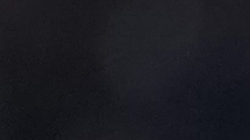 Guzmán está valorado en casi $5 millones de dólares.