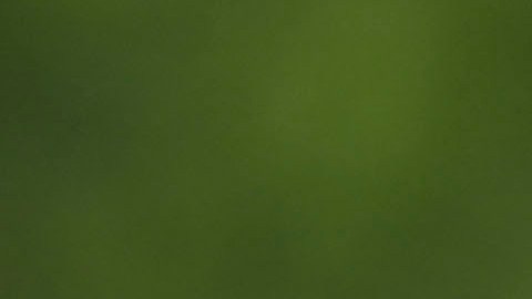 El seleccionador mexicano Jaime Lozano durante una sesión de entrenamiento en las instalaciones del Centro de Alto Rendimiento de la FMF.