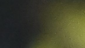 Fidalgo es una pieza determinante en el esquema del Club América.