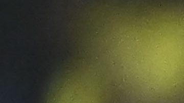 Fidalgo es una pieza determinante en el esquema del Club América.