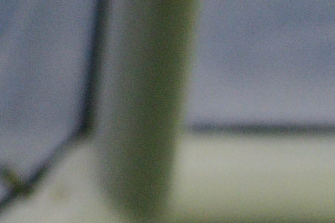 Rodolfo Rotondi fue el jugador al que le marcaron la pena máxima.