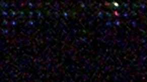 David Faitelson tuvo un cruce de opiniones con el ex portero de la selección nacional de México, Oswaldo Sánchez.