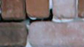 Ivonne Montero | Foto: Mezcalent