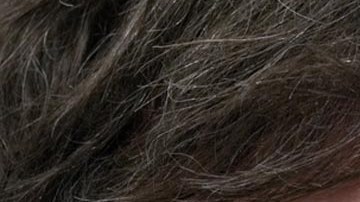 Javier Milei, presidente de Argentina