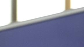 Robert Francis Kennedy Jr., candidato presidencial independiente