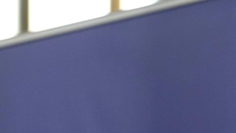 Robert Francis Kennedy Jr., candidato presidencial independiente