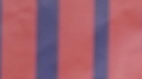 Robert Francis Kennedy Jr., candidato presidencial independiente