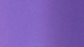 Marc Anthony y Nadia Ferreira