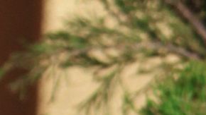 Natalie Portman, actriz de la cinta "Una historia de amor y oscuridad" | Foto: Mezcalent