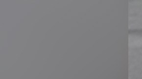 Reynaldo Tapia Arcibar