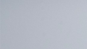 El animal respondió de forma exaltada al flash de la cámara.