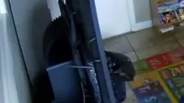 Agresión infantil en primaria de Florida