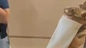 Hombre causa destrozos en una iglesia