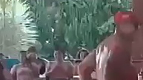 strippers bailando