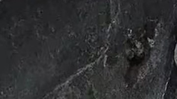 Altar a la Santa Muerte