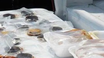Mujer detenida con droga