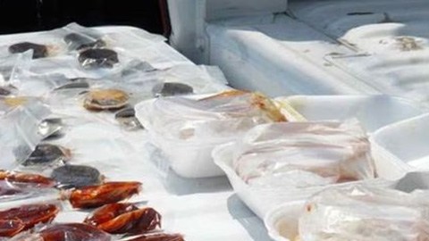 Mujer detenida con droga