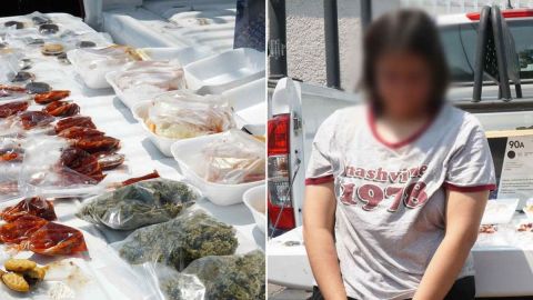 Mujer detenida con droga