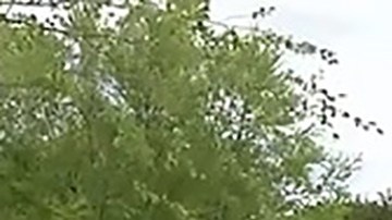 Policía de Lakeville