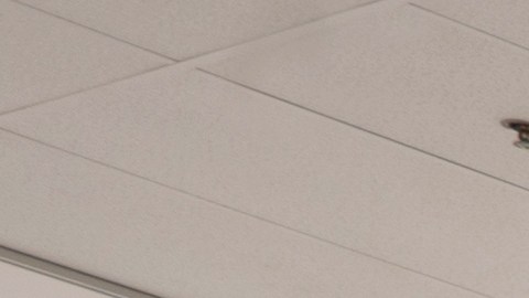 artículos a $1.25 en Dollar Tree que en Target están más caros