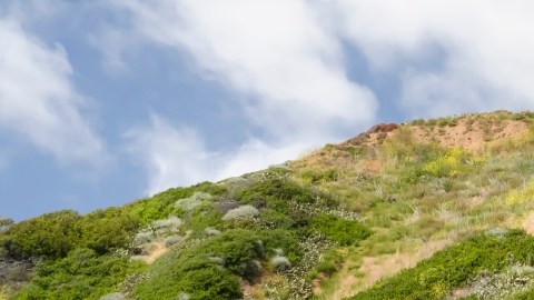 Volkswagen ID Buzz 2025