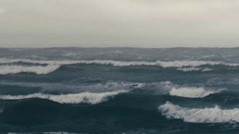 YOUNG WOMAN AND THE SEA | Foto: Cortesía/ Disney