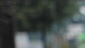 Los humanos nos enfermamos más debido al cambio climático: qué dice un nuevo estudio