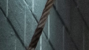 cheque de estímulos