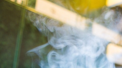 Cocinar con estufas de gas aumenta la inhalación de dióxido de nitrógeno, según un estudio
