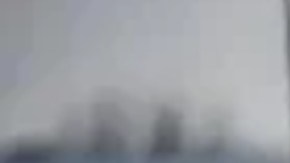 La policía de Culver City arrestó al sospechoso cuando intentaba esconderse entre unos arbustos.