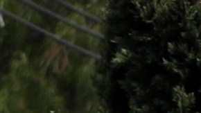 Inmigrantes avanzan por Puebla bajo una cruz de madera con las palabras “Resucitó, Cristo".