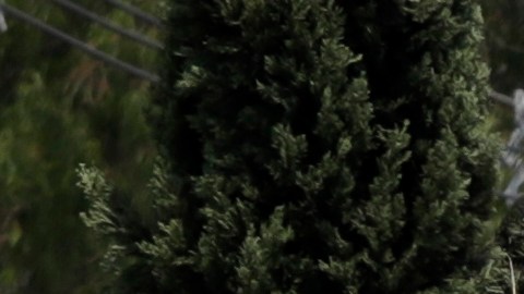 Inmigrantes avanzan por Puebla bajo una cruz de madera con las palabras “Resucitó, Cristo".