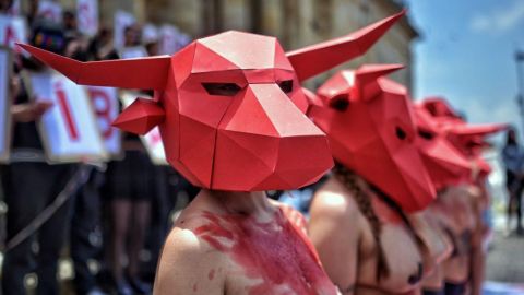 La prohibición de las corridas de toros entrará en vigor en 2027.