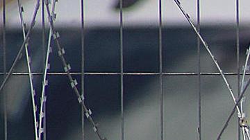 Migrantes acusan a guardias de Texas de disparar balas de goma y gas en frontera con México