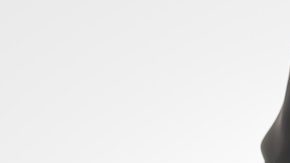 Auditor o personal del servicio de ingresos internos que verifica los estados financieros anuales.