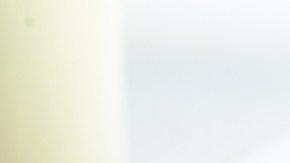 Gripe aviar en EE.UU.: la FDA dice que el queso 'cottage' y la crema agria son seguros para el consumo