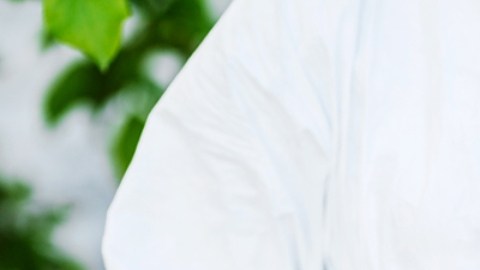 Confirman en Michigan un segundo caso de gripe aviar en humanos