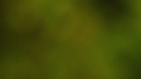 Una sencilla técnica de meditación puede limpiar el karma de relaciones pasadas.