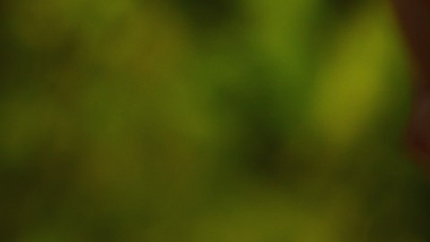 Una sencilla técnica de meditación puede limpiar el karma de relaciones pasadas.