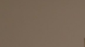 Mano sosteniendo un billete de dólar estadounidense.